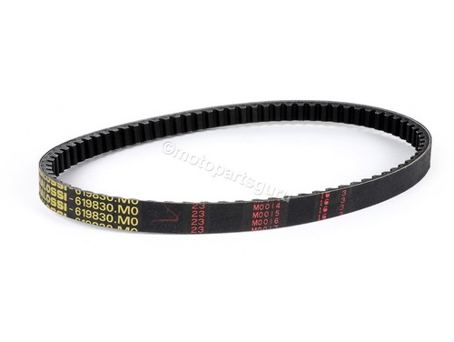 619830 oem malossi - 619830,